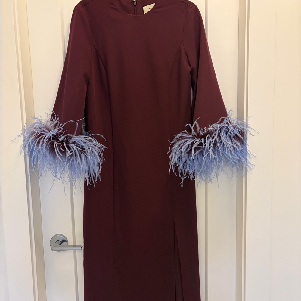 Tuckernuck Burgundy Dress with Blue Feather Accents - Picture 2 of 4